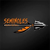 Logo 1