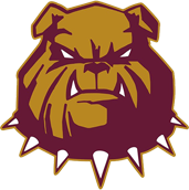 Logo 1
